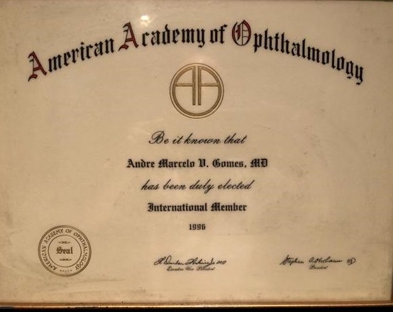 International Member — American Academy of Ophthalmology (AAO), 1996